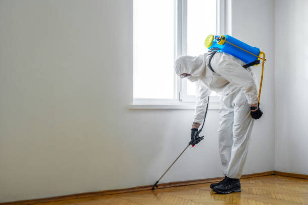 Best Termite Inspection and Treatment  in Hagaman, NY